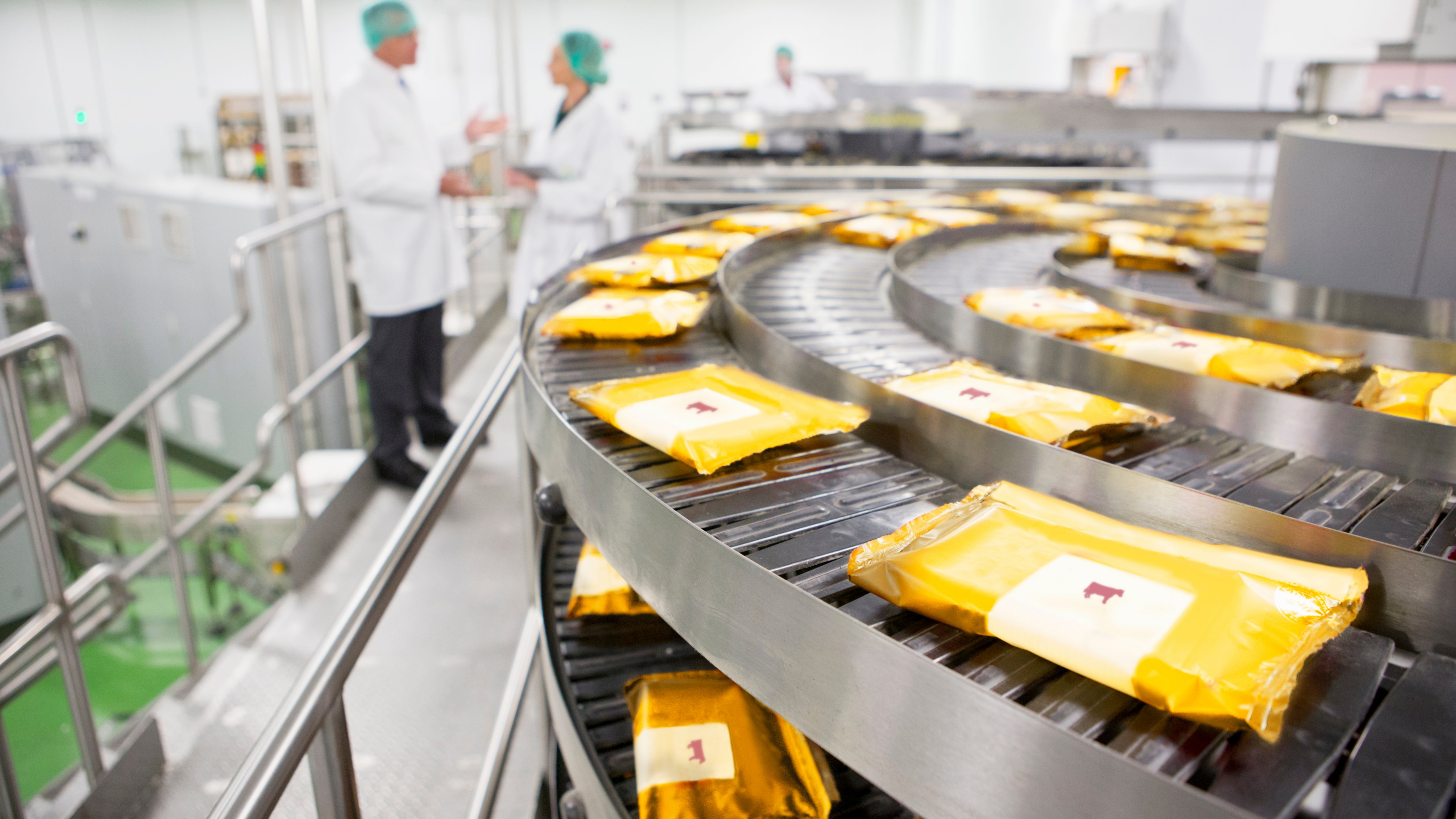 Quality control workers talking behind production line in cheese processing plant