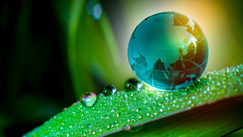 How Process Automation Enables Sustainability