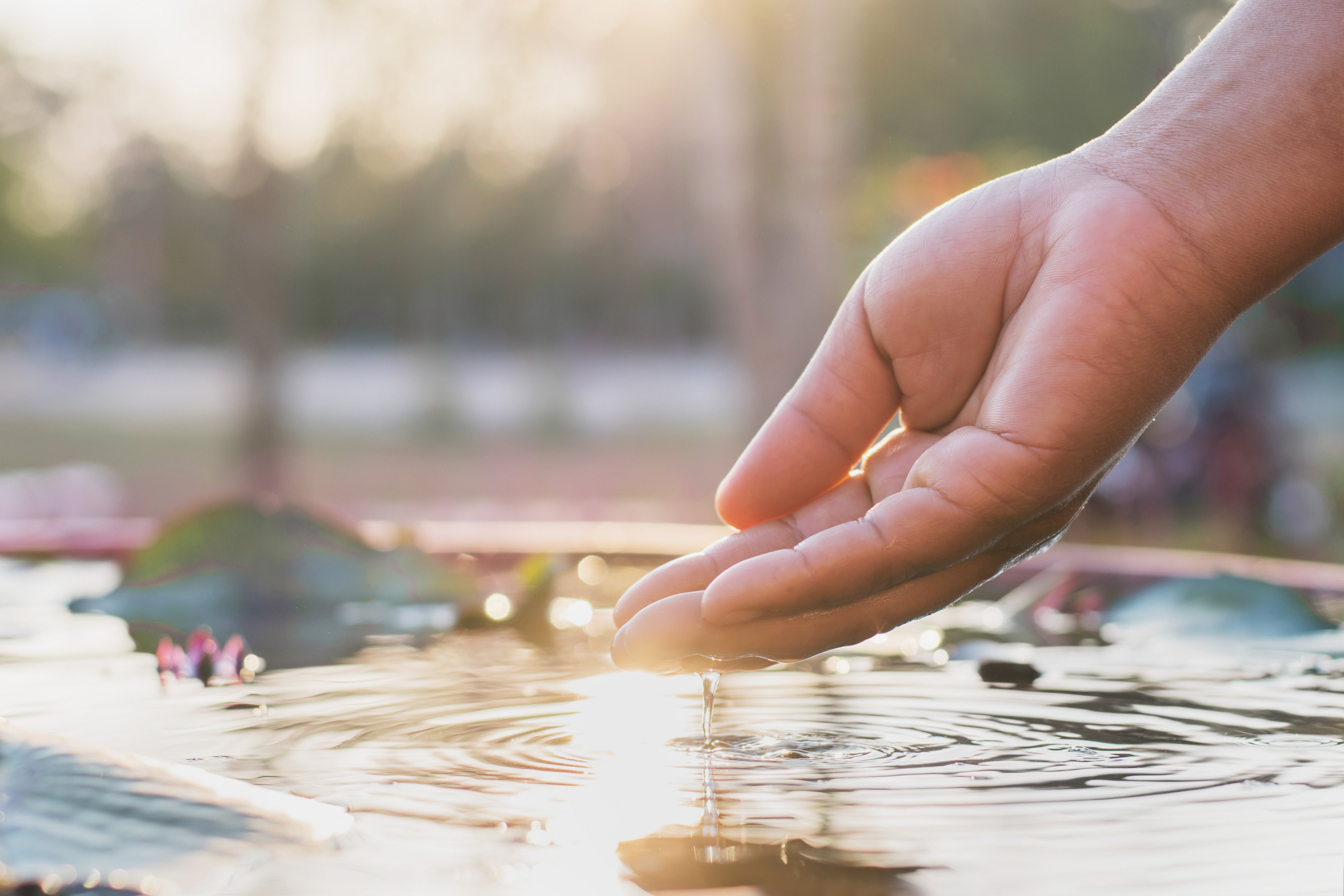 hand and water with sunset