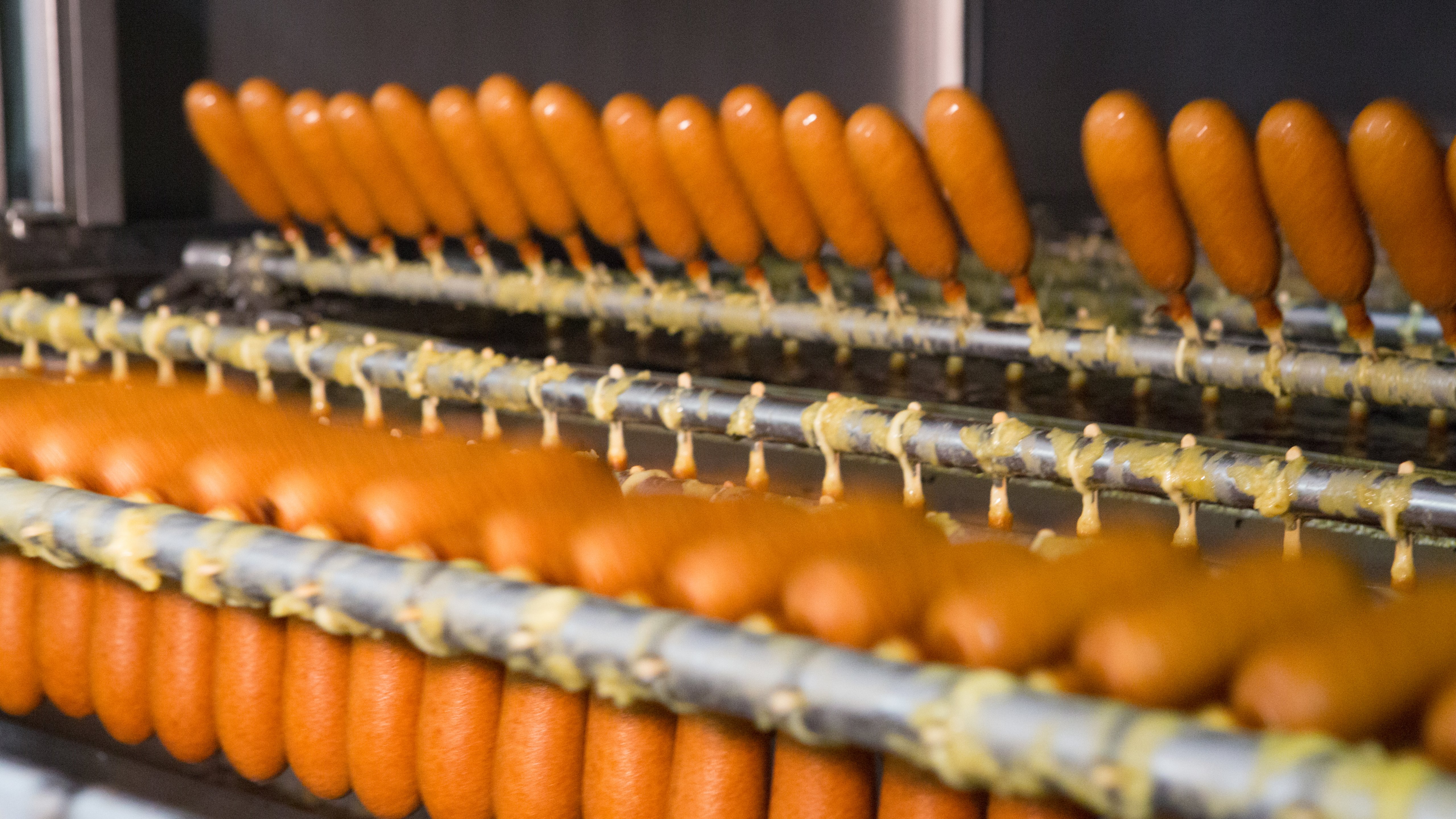 Hillshire Brands customer Corndog packaging machine