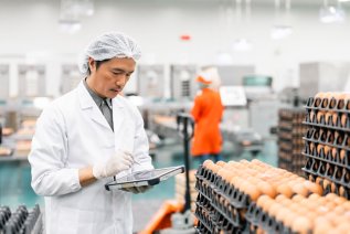 Quality control technician with hygienic clean suit and PPE working in eggs production factory, examining quality of eggs at the package.
