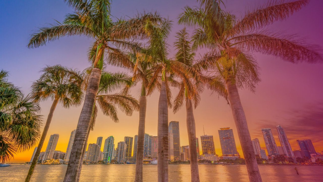 Skyline of Miami Florida at sunset with palm trees in the foreground.