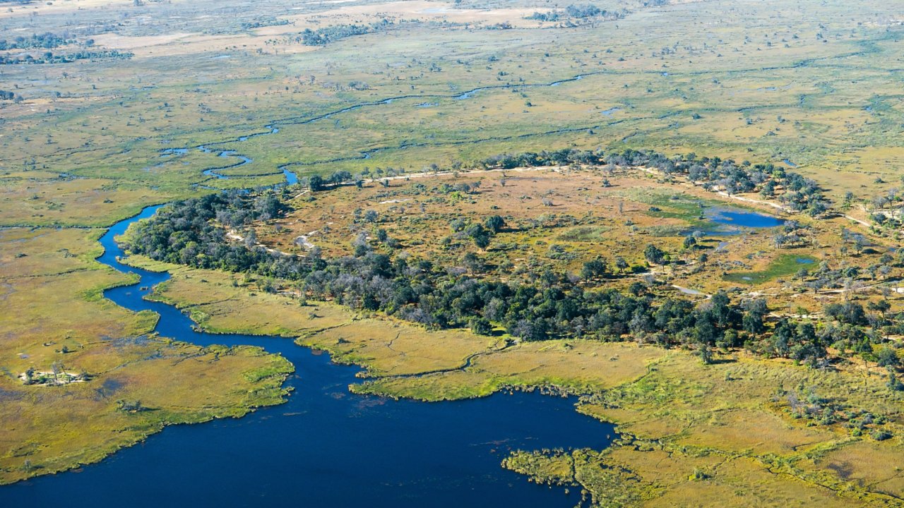Okavango Delta swamps in Botswana, Africa.