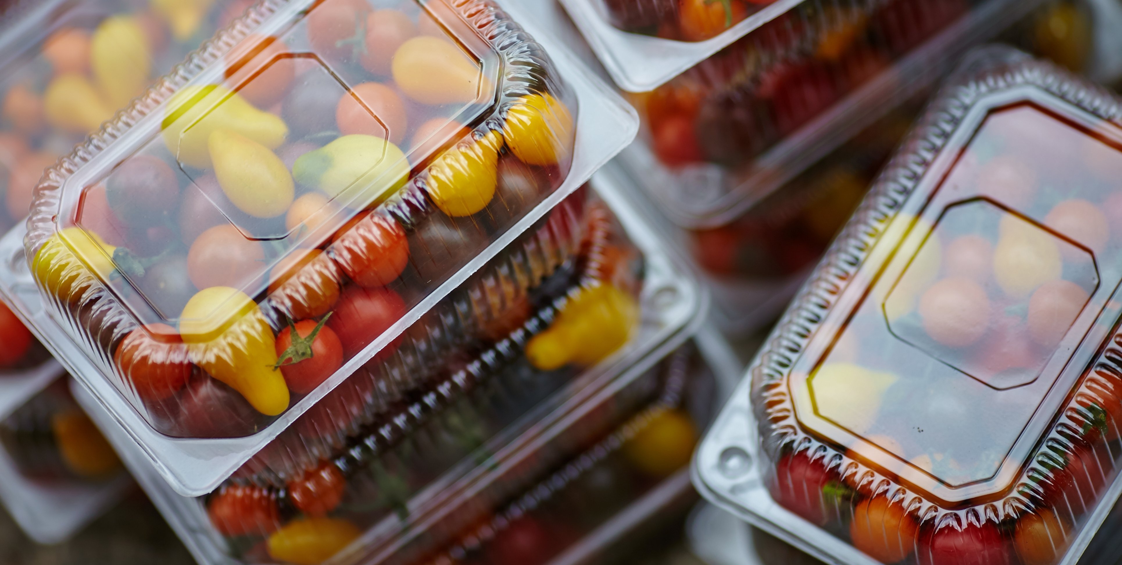 Packaging fresh tomatoes