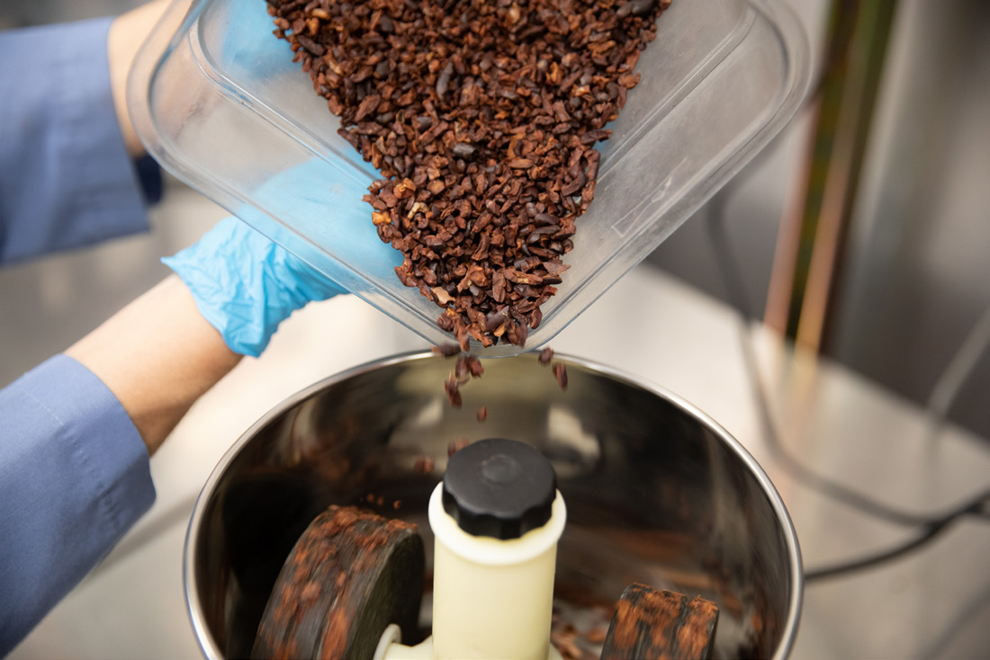 close-up photo of cocoa beans being processed in a metal machine with a person wearing blue gloves