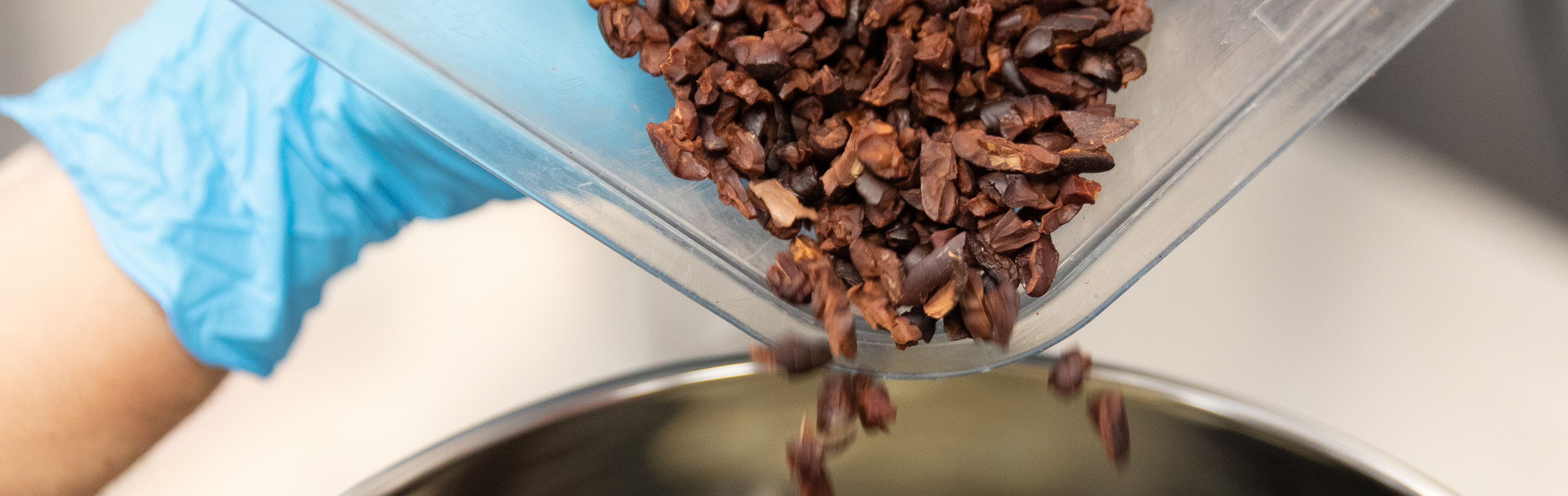 close-up photo of cocoa beans falling into a metal container in a manufacturing facility
