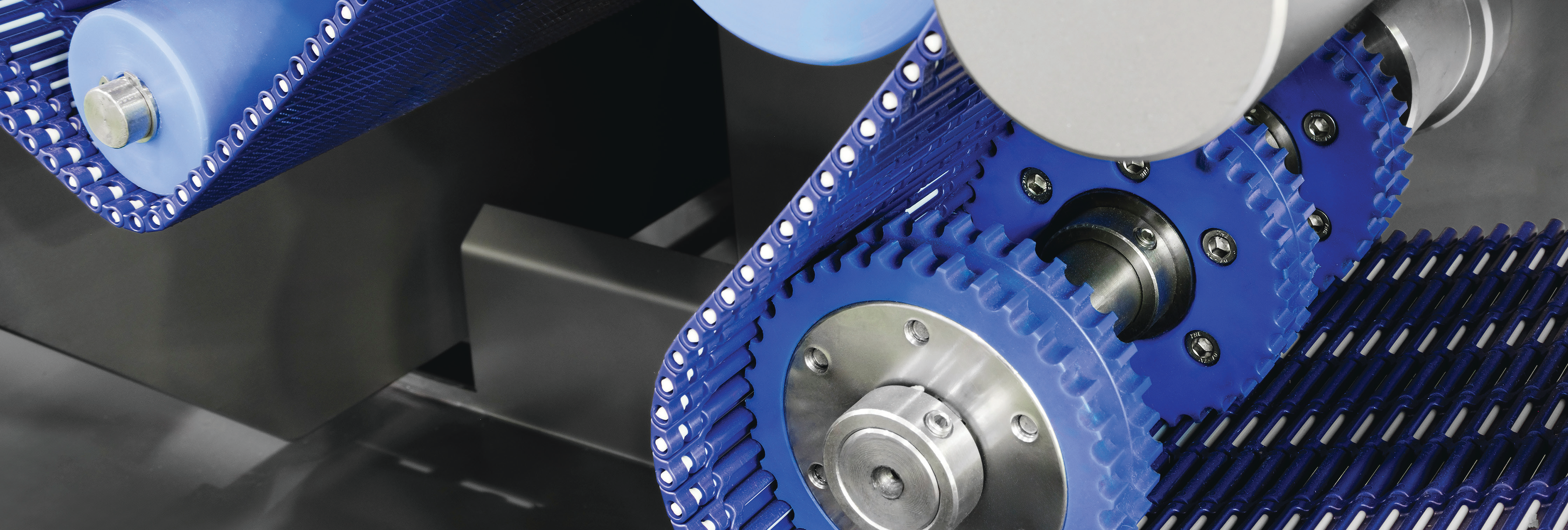 close-up photo of blue industrial conveyor chain and machinery components