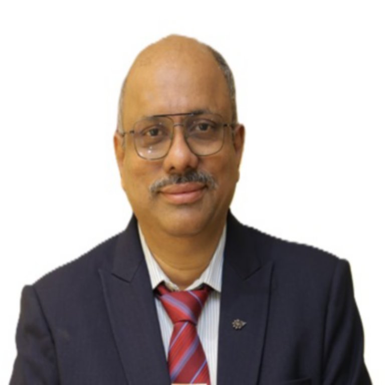 Prasad John, DGM - Elect & Inst (Project & Engineering), Gulbrandsen Technologies 