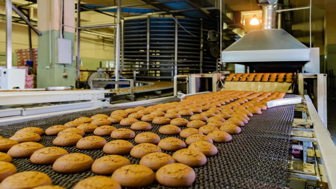 Confectionery factory. Production line of baking cookies, selective focus.