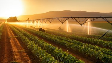 rain gun sprinkler in the dry season, irrigation system on agricultural soybean field, generative ai ADO614470608.jpeg