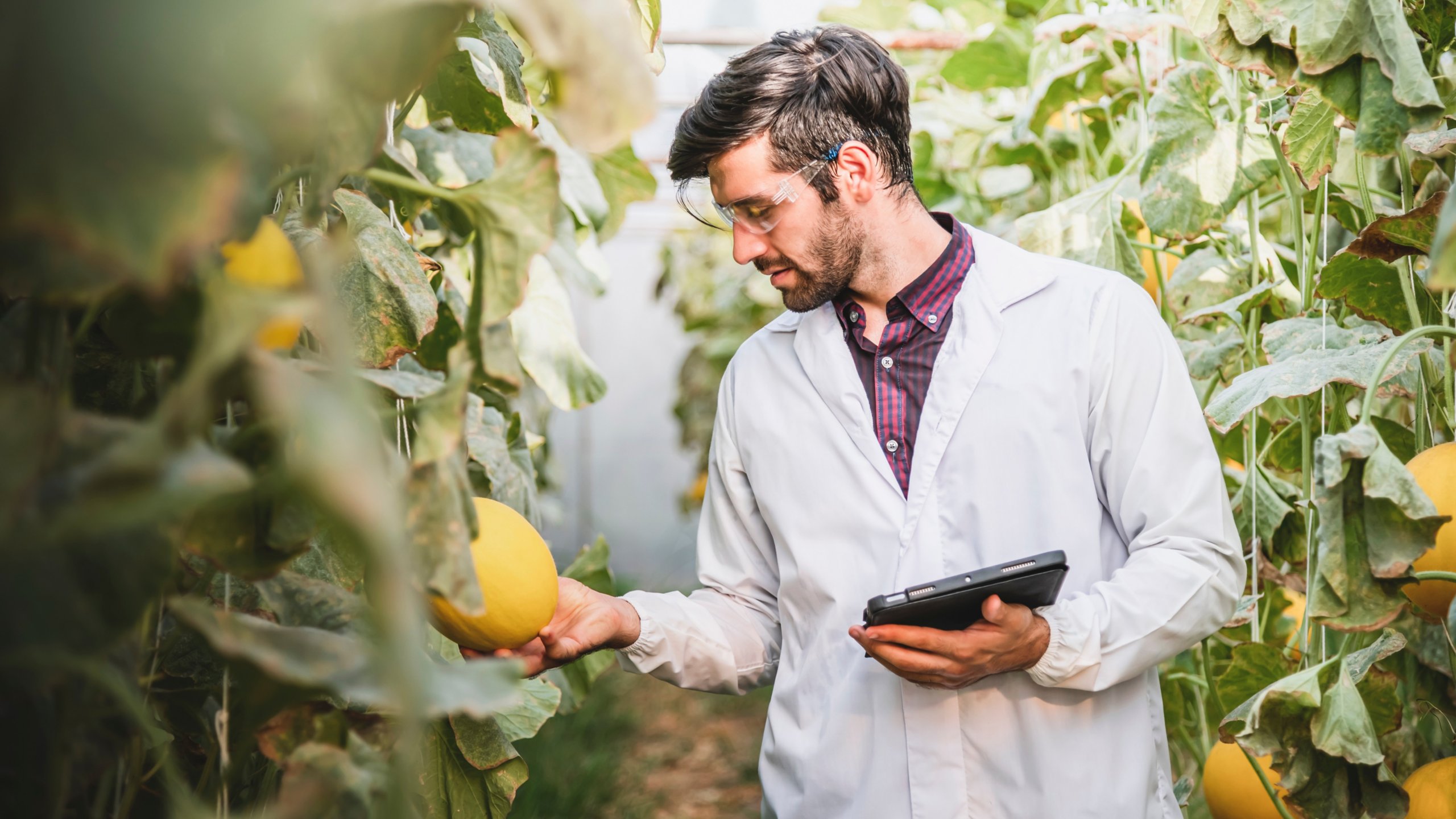 Food Safety Modernization Act Traceability Rule