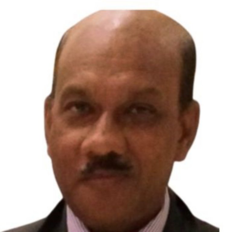 Sunand Naidu, Industry Consultant