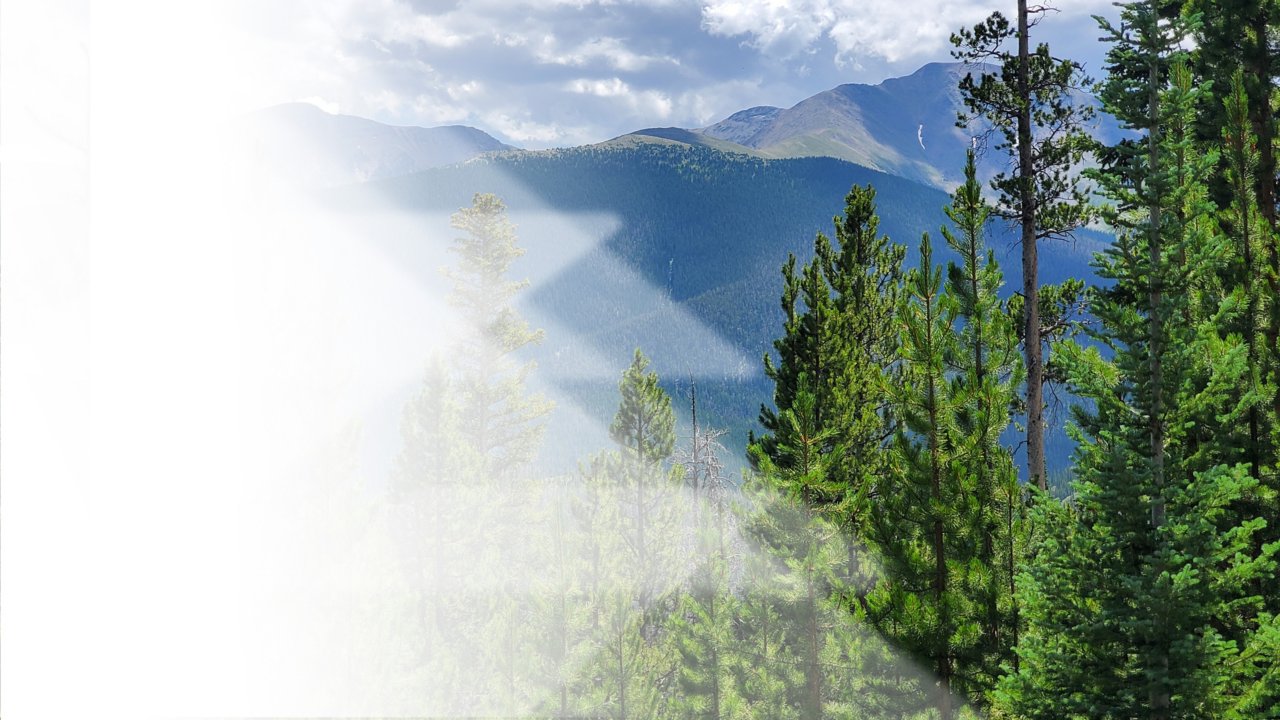 Rapport sur le développement durable progrès et résultats réalisés