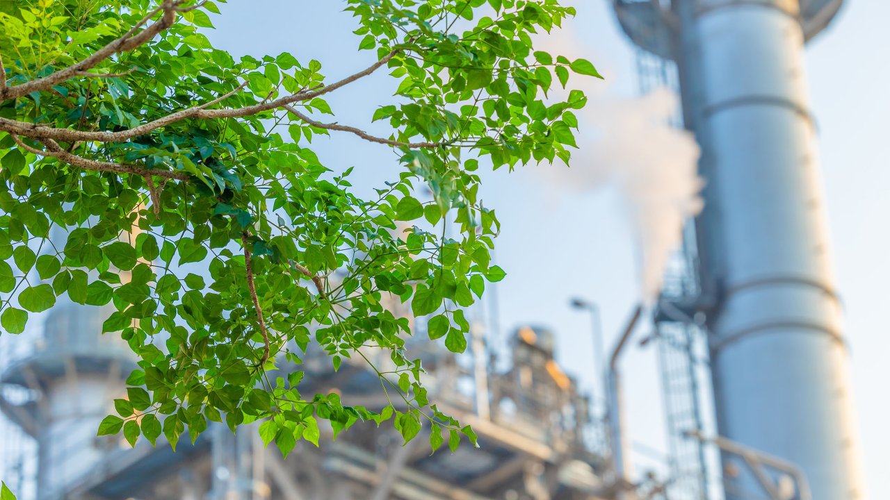 Tree branches in foreground with blurred factory image in background with smoke blowing out