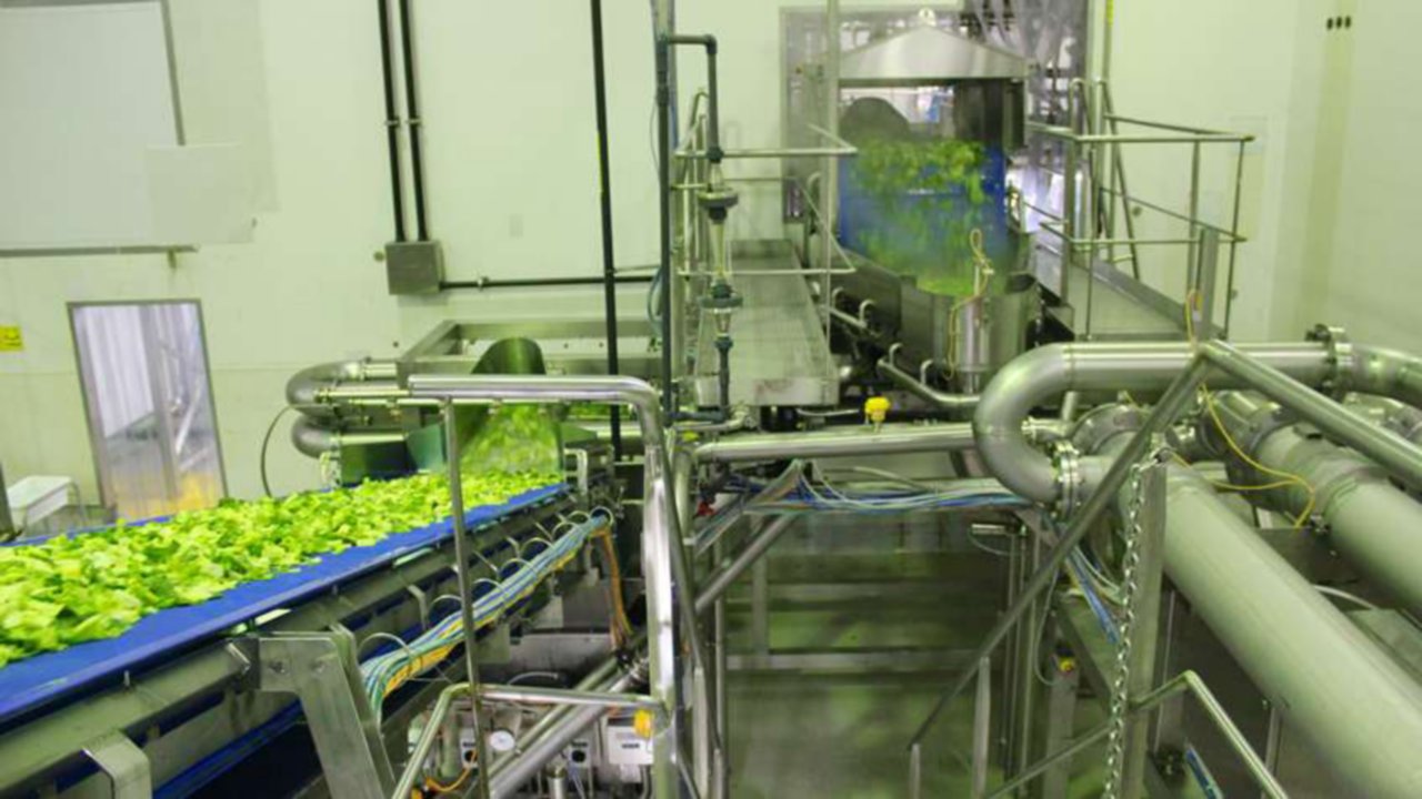 Turatti Sees Increased Productivity in its Food Washing Machinery  hero image