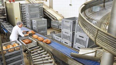 woman working in a large bakery - industrial production of bakery products on an assembly line 