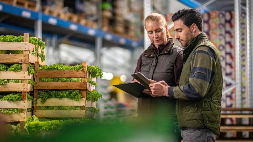 Male and female workers using digital tablet while checking crates of lettuce in warehouse.