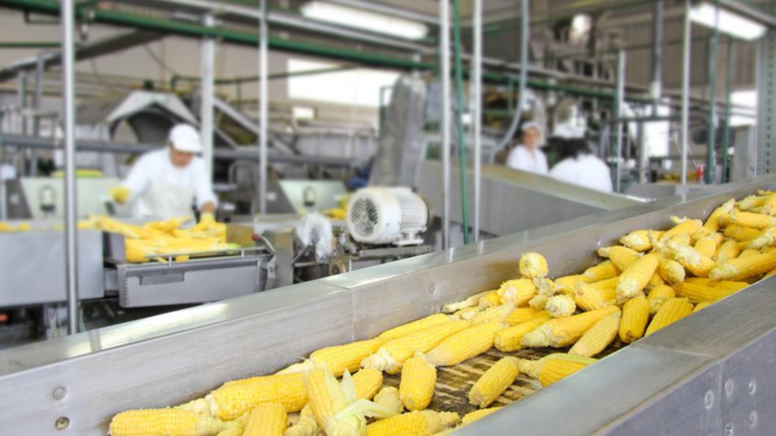 Food Packaging Automation Systems, Automated Food Packaging Rockwell