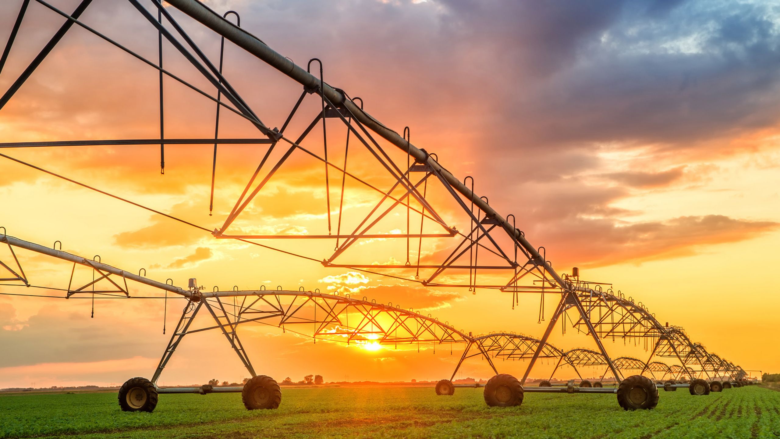 Automated farming irrigation system in sunset