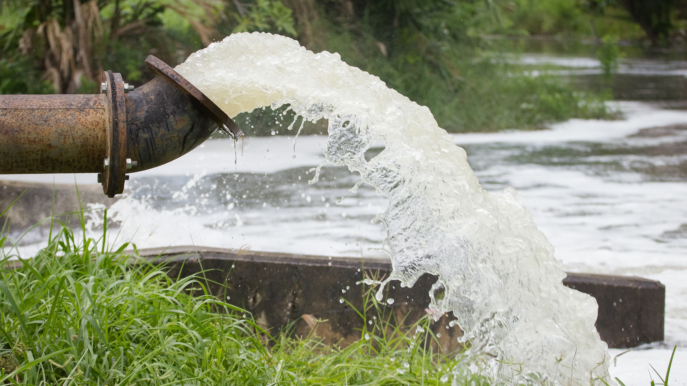 stream of artesian water from the old rusty pipe.