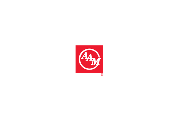 AAM Company logo