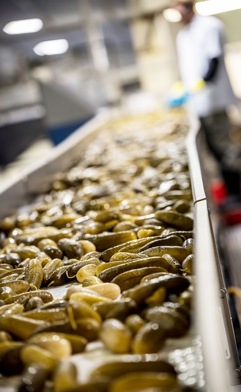 Hausbeck Pickles & Peppers assembly line