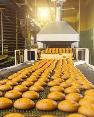 Conveyor with baked cookies in a factory