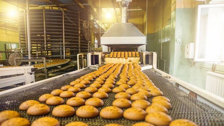 A conveyor belt full of pastries in a food and beverage manufacturing plant