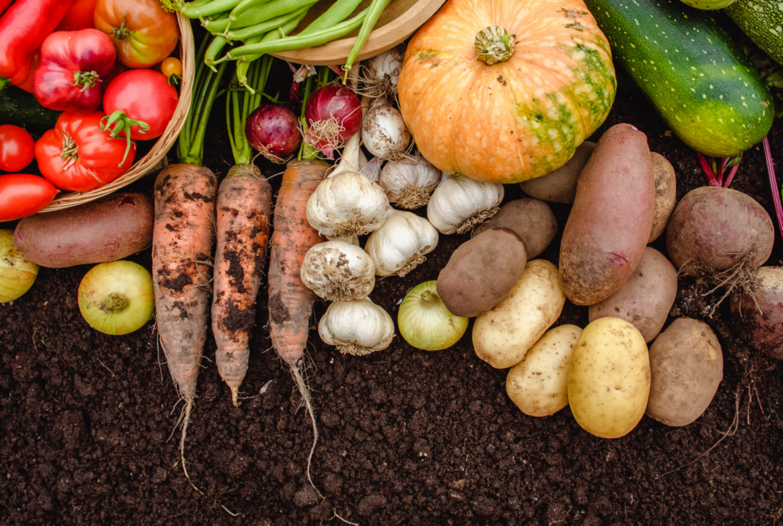 All Hands Deck Ensure Successful Plex Implementation Harvest Food Group Increasing