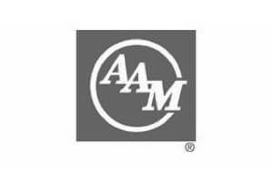 AAM Company logo