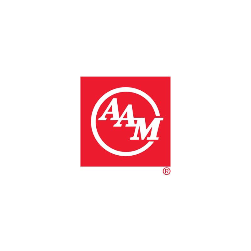 AAM Company logo