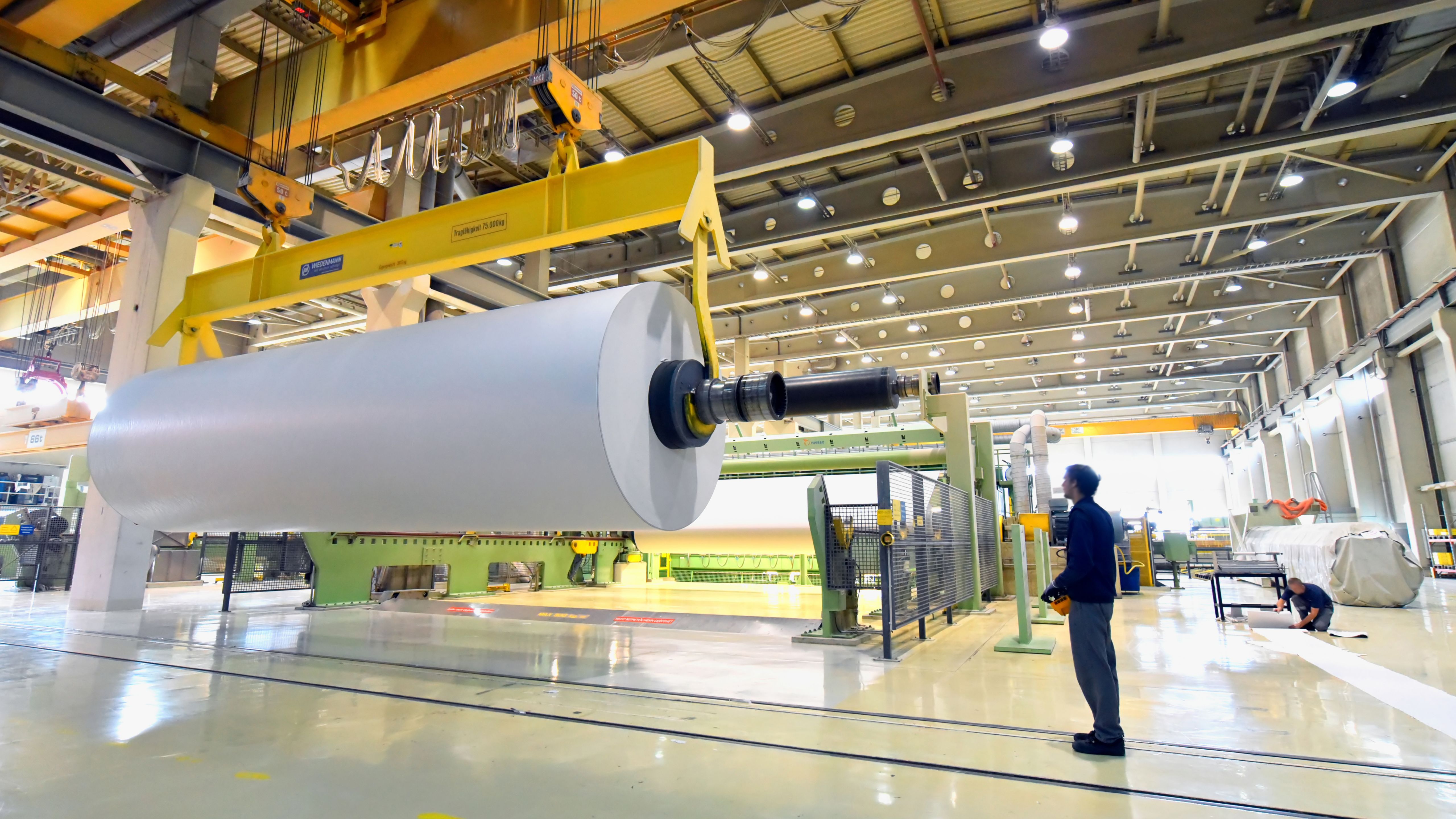 Employee looking at a paper roll on a crane for the production of paper in a modern factory