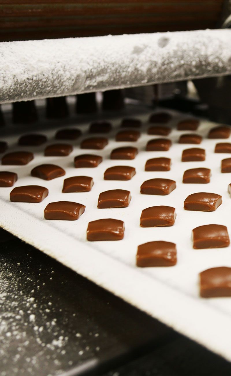 Sanders-Quote-Chocolate-800x1300.jpg