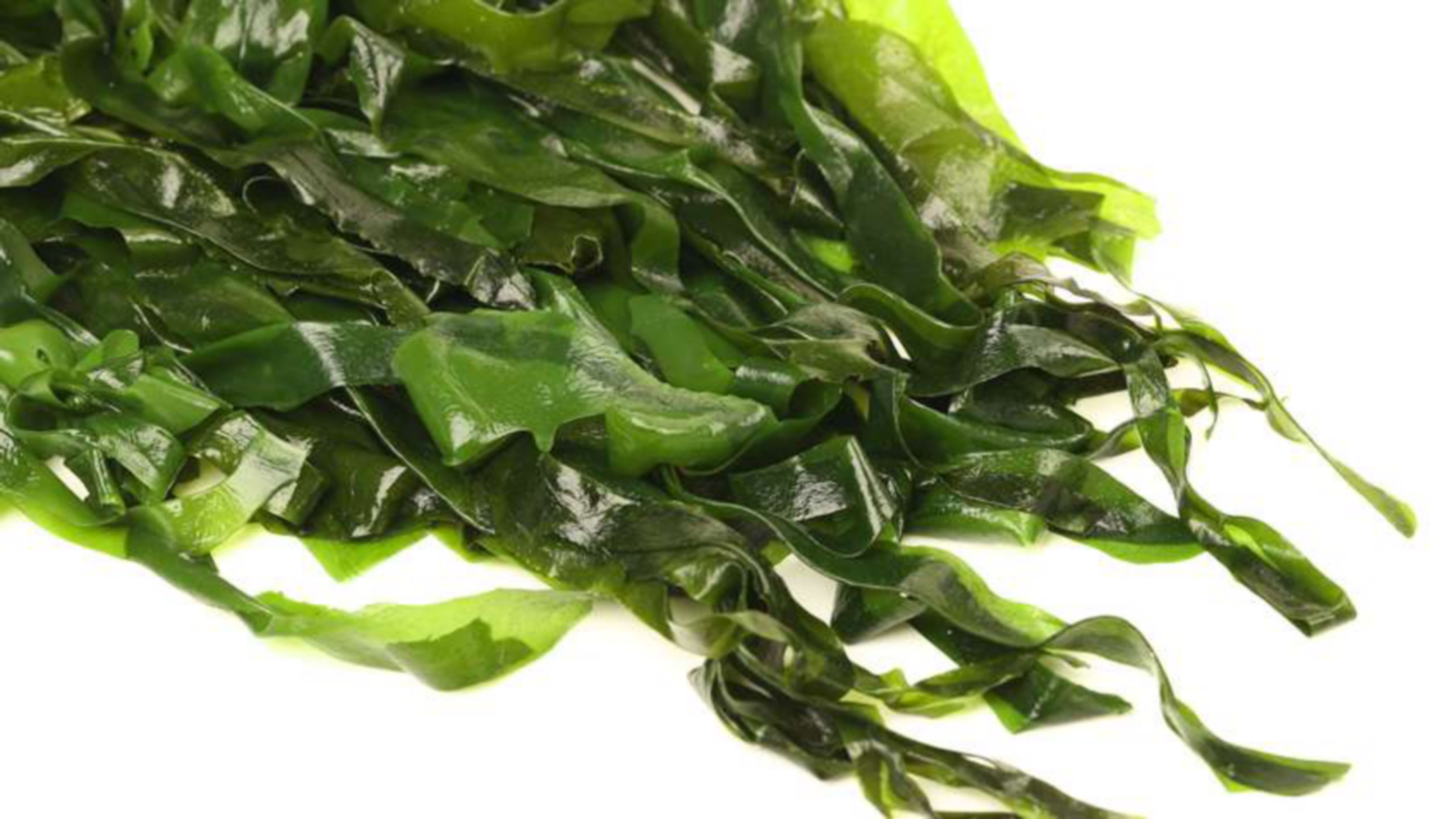 Acadian Seaplants Grows Capacity by 40 Percent Rockwell Automation India