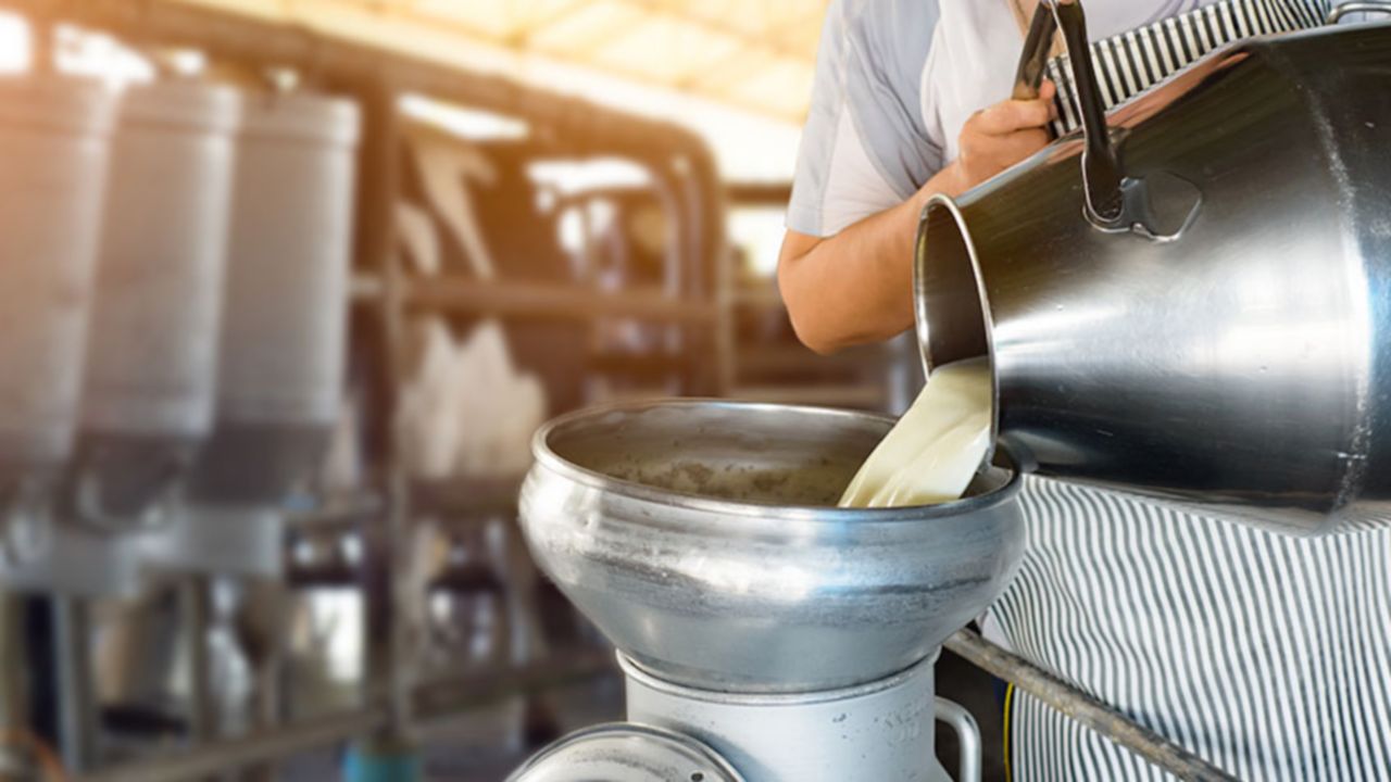 Dairy Maximizes Production with Integrated Processing Plant hero image