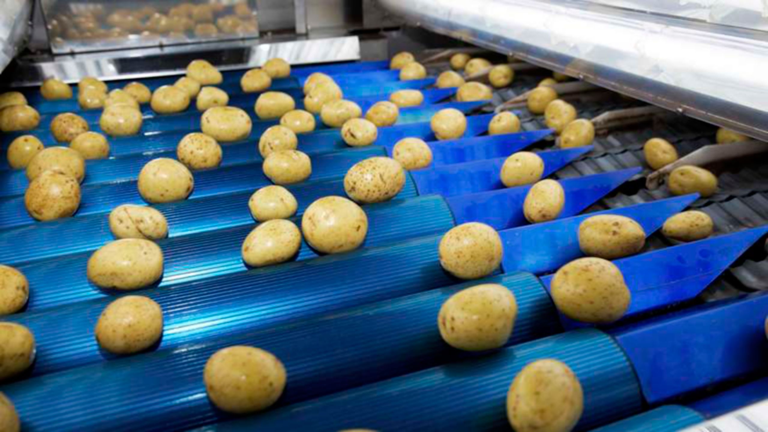 Leading Potato Product Supplier, Standardizes With PlantPAx Rockwell